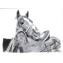 Que Paso (Le) Poster Print