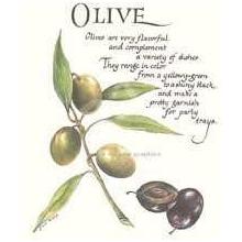 Olive Poster Print