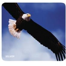 BALD EAGLE MOUSE PAD