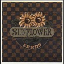 Sunflower Seeds Poster Print
