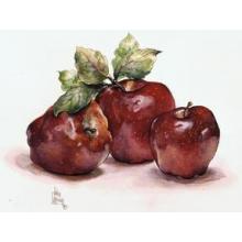Apples Poster Print