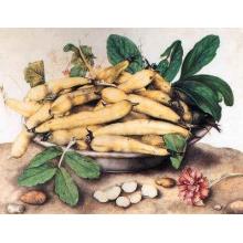 Dish Of Broad Beans Poster Print
