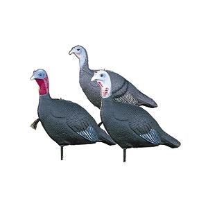 87e1be6a418c2f94156afb2d97a44cfd The Way To Making Hunting For Turkey With Decoys Effective