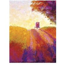 Amish Buggy Poster Print