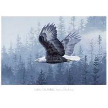 Spirit Of The Forest Poster Print