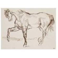 Horse Poster Print
