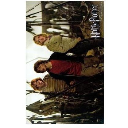 Harry Potter And The Goblet Of Fire Poster Print
