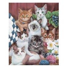 Kitties II Poster Print