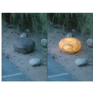 GLOWSTONE PATHWAY MOTION SENSORS