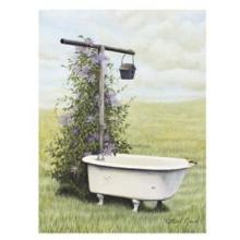 Bird Bath Poster Print