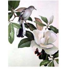 Mockingbird And Magnolia Poster Print