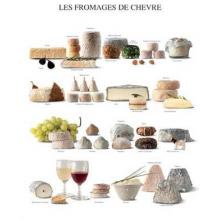 Goat Cheeses Poster Print