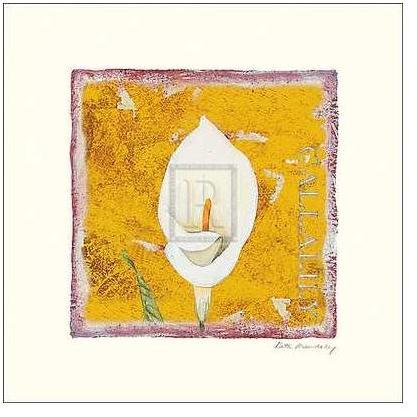 Calla Lily Poster Print