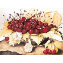Dish Of Cherries Carnations Poster Print