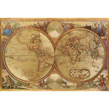 Double Hemisphere World Map (HC) Poster Print