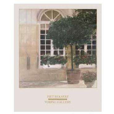 Plants Against Two Windows Poster Print