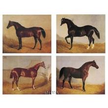 Stable Mates (Set Of Four) Poster Print