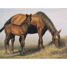 Mare And Foal Poster Print