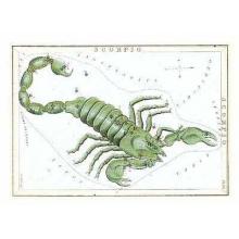 Zodiac Symbols - Scorpio Poster Print