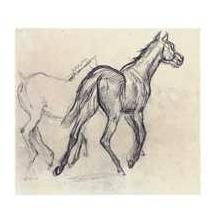 Horses Poster Print