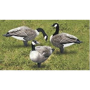 Edge Renzos Can Goose 6pk