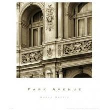 Park Avenue Poster Print