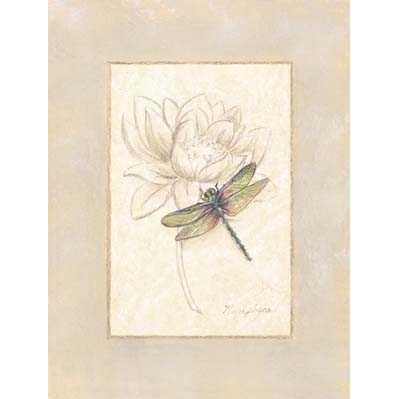 Beautiful Bugs-Dragonfly Poster Print