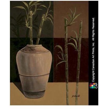 Lucky Bamboo II 9.5