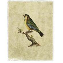 Crackled Selby Birds II Poster Print