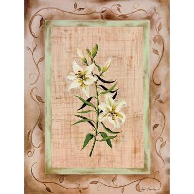 Country Lily Poster Print