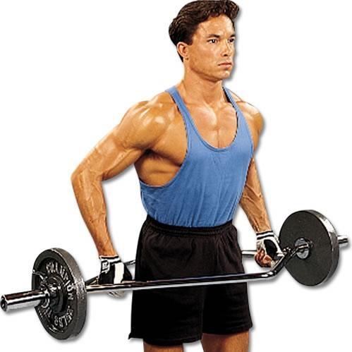 Champion Olympic Trap Bar (EA)