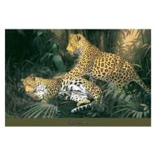 Jungle Play Poster Print