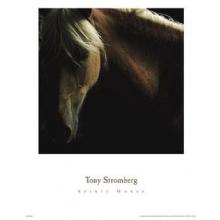 Spirit Horse Poster Print