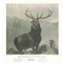 Monarch Of The Glen Poster Print