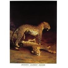 Laurent Agasse - Two Leopards Playing In The Exeter Change Menagerie Poster Print