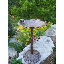 Oakland Living Lily Bird Bath With Frog