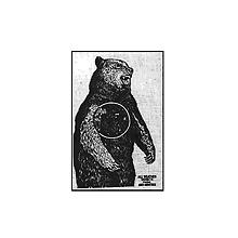 Ames All-Weather Bear Face