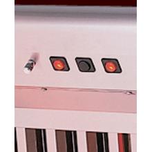 Vent Hoods Control Panel