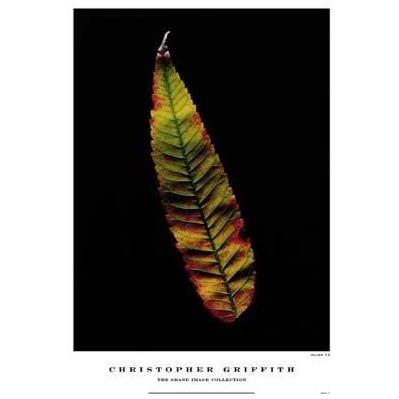 Plate 13 Poster Print