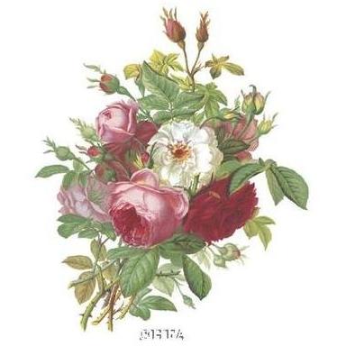 Antique Roses Poster Print