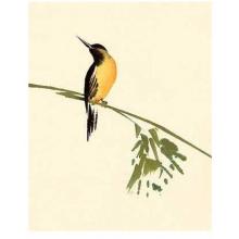 Bird Poster Print