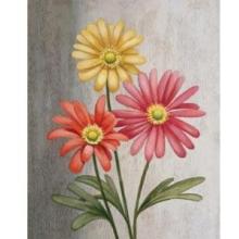 Gerber Daisies Poster Print