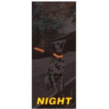 Lighted Safety Leash