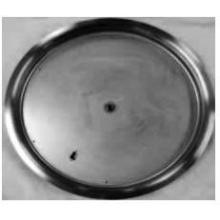 HPC 13 Inch Round Stainless Steel Bowl Type Fire Pit Pan