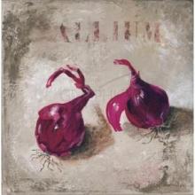 Allium Poster Print