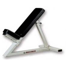 Maximus Adjustable Seated Incline Bench