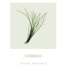 Chives Poster Print