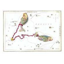 Zodiac Symbols - Pisces Poster Print