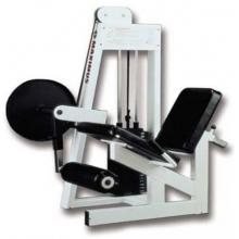 Maximus Seated Knee Extension