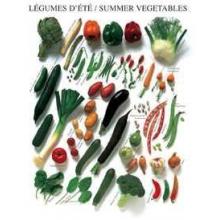 Summer Vegetables Poster Print